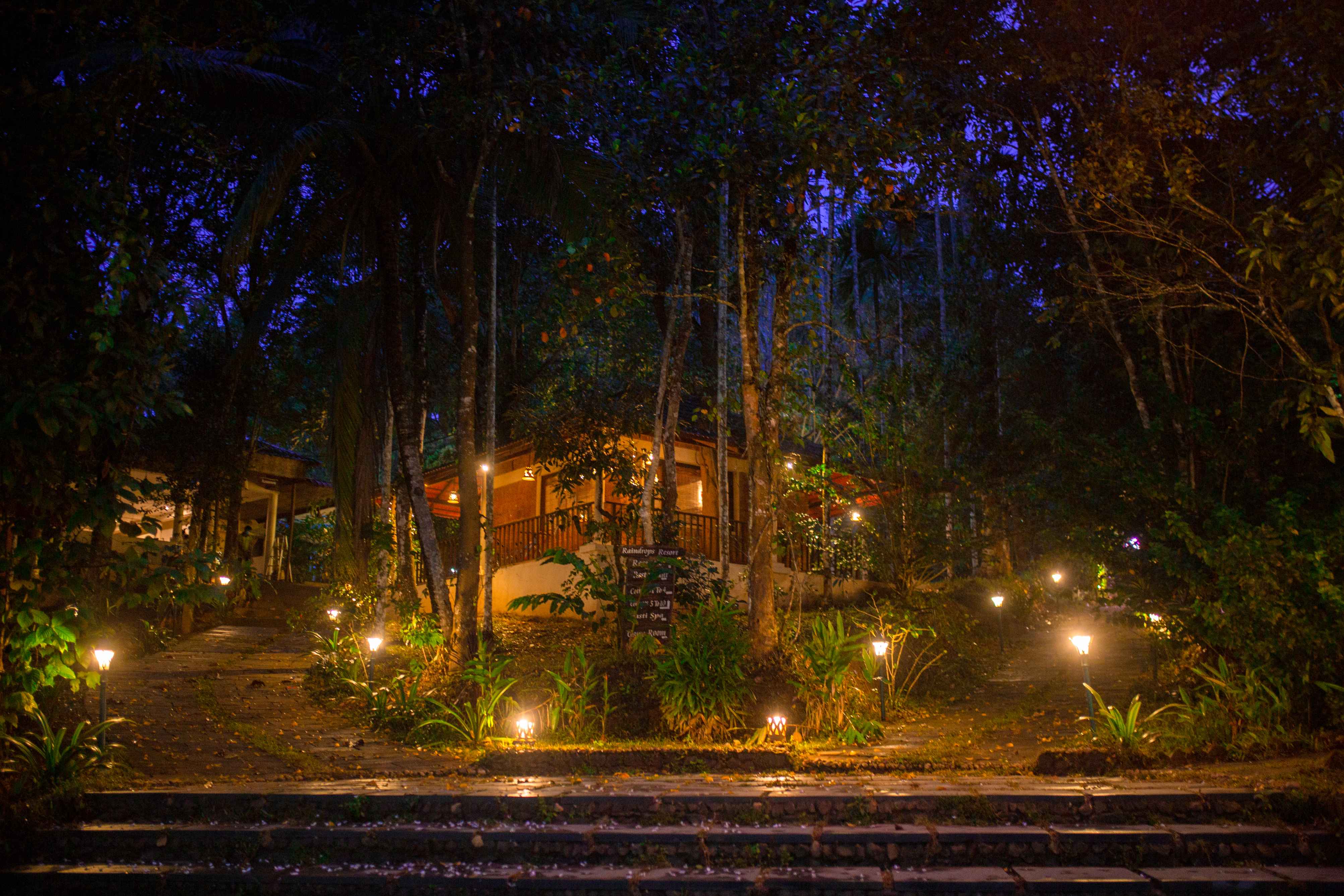 Evening Ambience